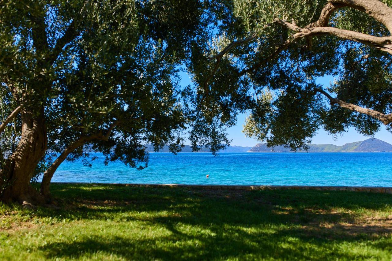 Hedera Estate, Villa Hedera XV Slano Eksteriør bilde